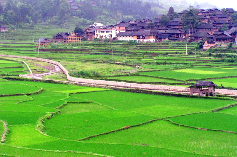 家园 摄影 清风山野