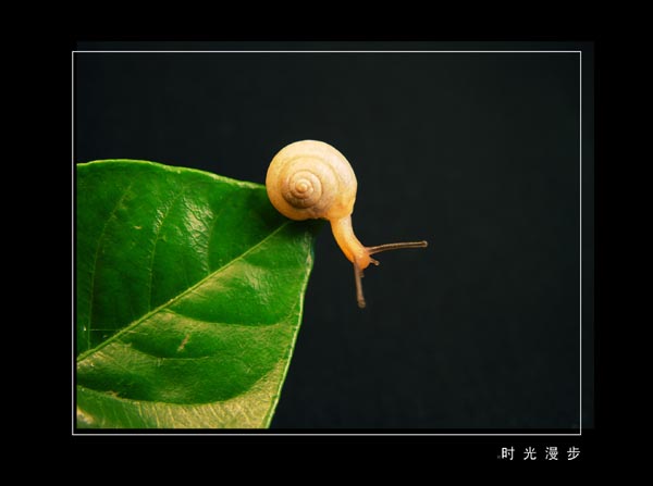 时间漫步 摄影 GLEN520