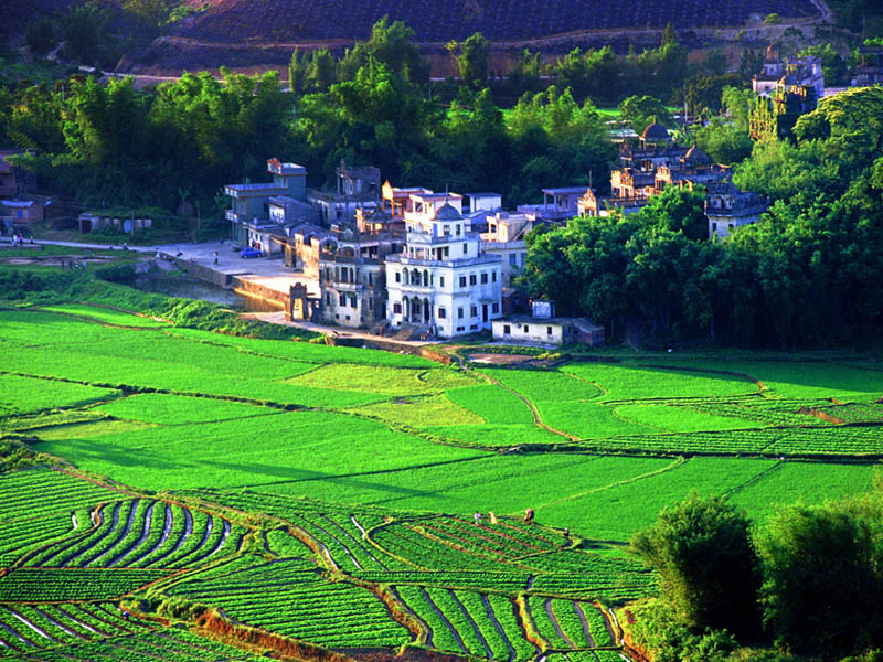 乡村 摄影 台山仔