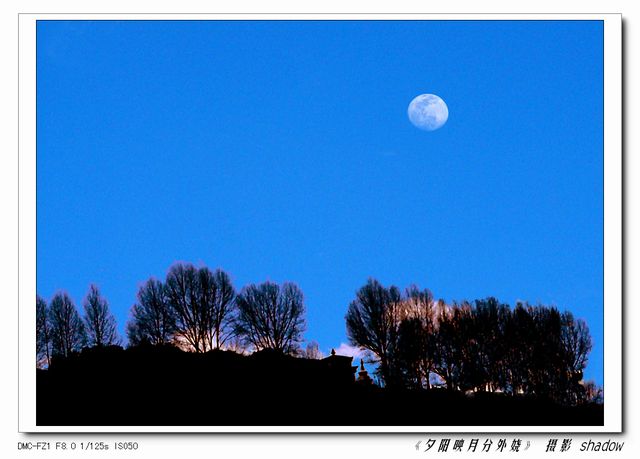 夕阳映月分外娆 摄影 四川影子