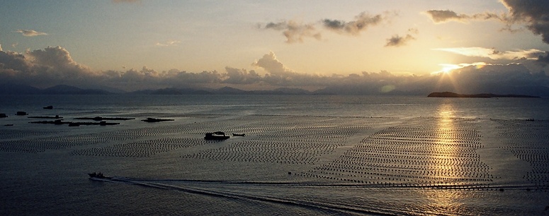 海港夕照 摄影 黑眼睛