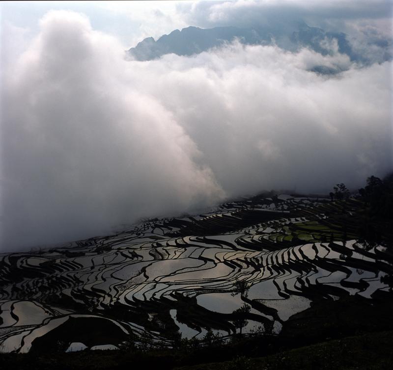 雾锁梯田 摄影 名刀