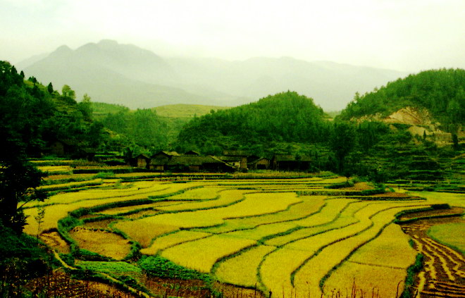 田园山 摄影 山城老山羊