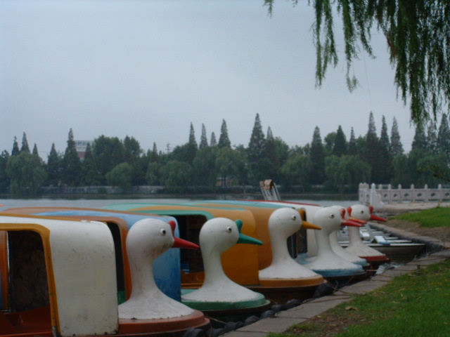 待 摄影 tianbing