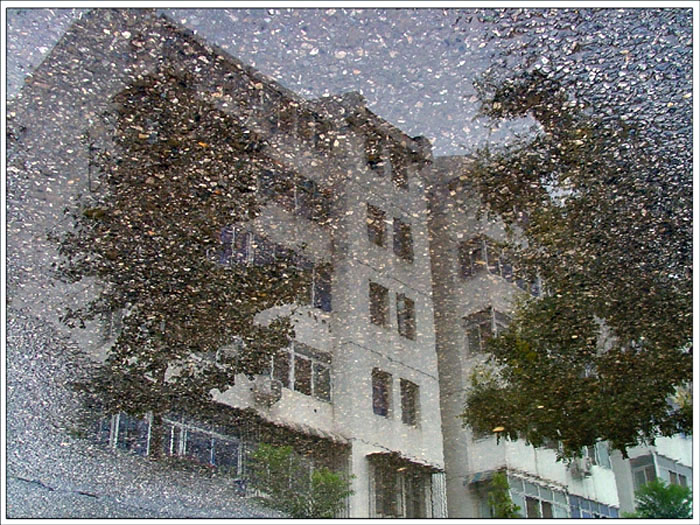 雨后 摄影 飘逸人生