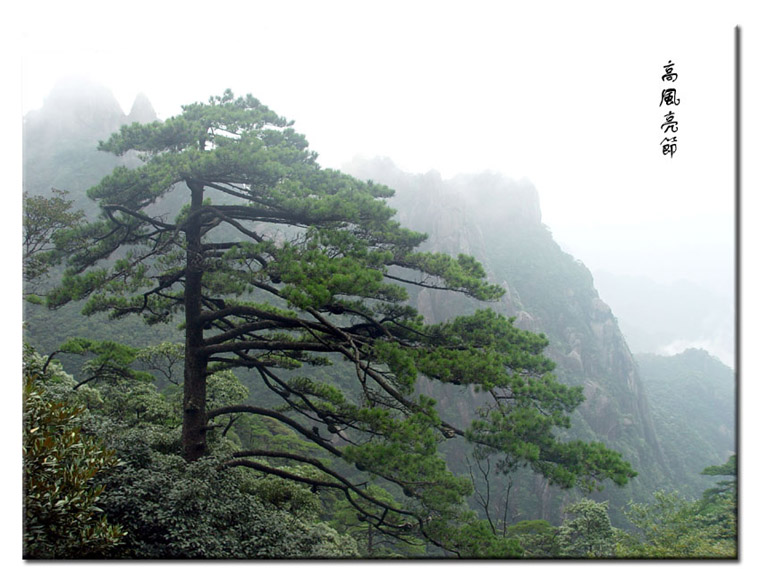 高风亮节 摄影 水乡