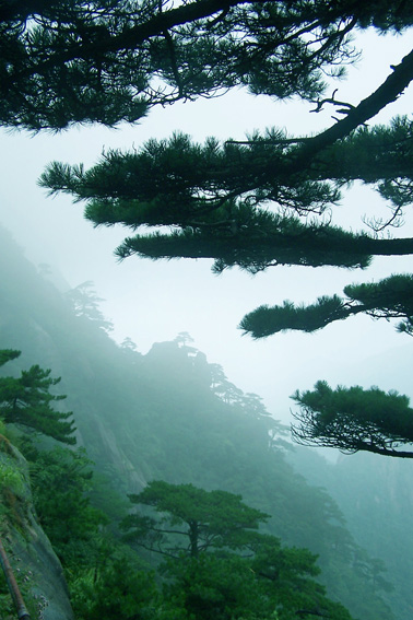 黄山景色 摄影 郁郁眼