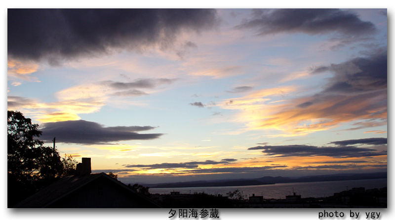 夕阳海参葳 摄影 岳公颖