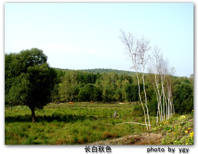 长白秋韵 摄影 岳公颖