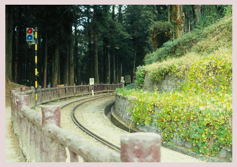 阿里山小铁路 摄影 一道