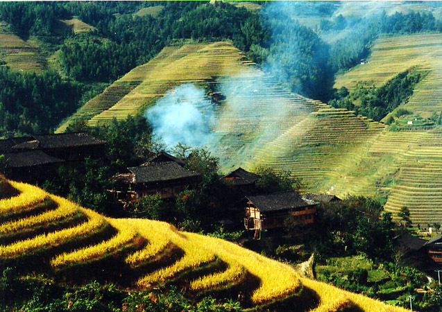 炊烟 摄影 qinjiangyu