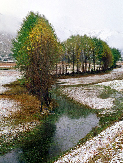 新都桥初雪 摄影 风行