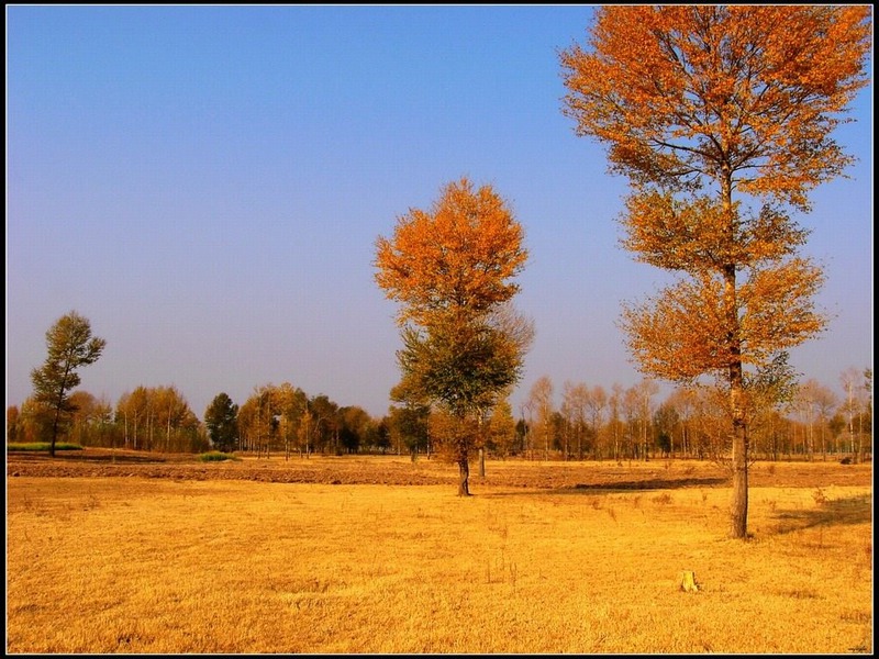 秋 摄影 景缤