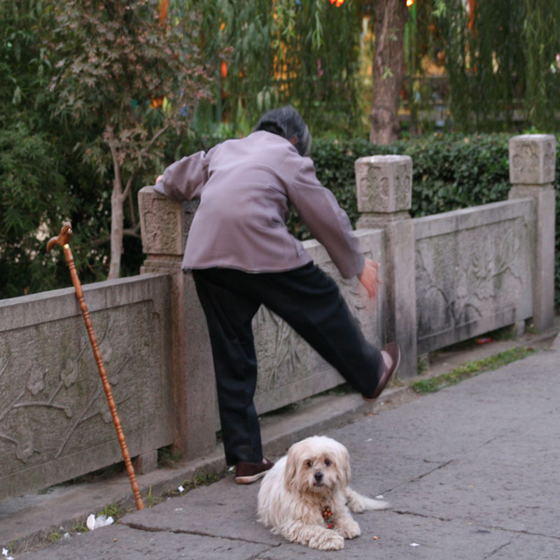 练 摄影 极度风色