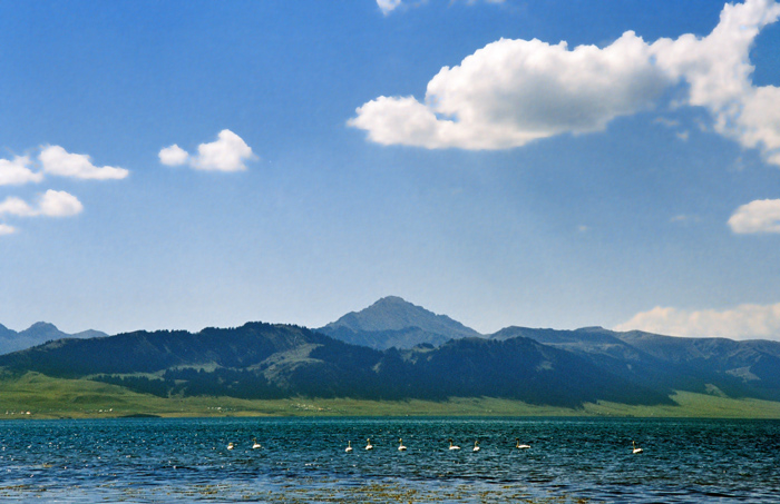 塞北江南——赛里木 摄影 天山飞狐