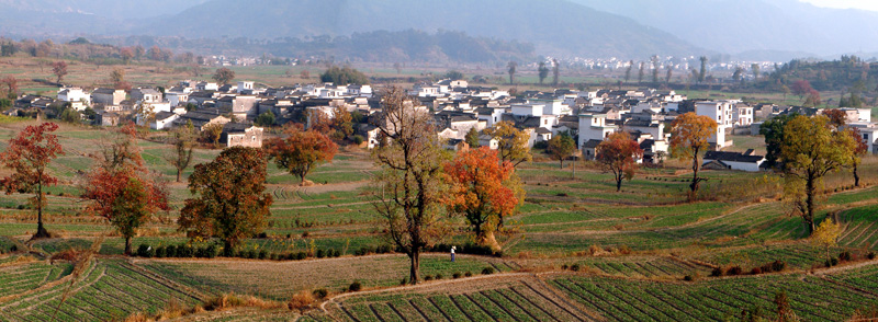 卢村全景图 摄影 沉岩