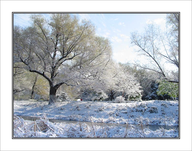 雪挂2 摄影 吴建衡