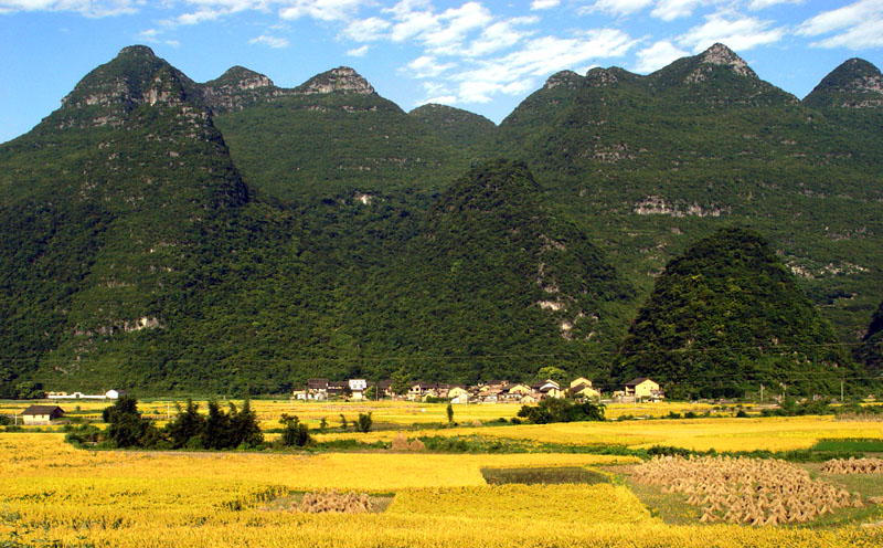 希望的田野 摄影 沉默的土地