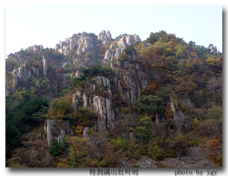 待到满山红叶时 摄影 岳公颖