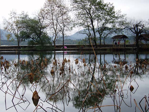 雨中宏村 摄影 我本无缘