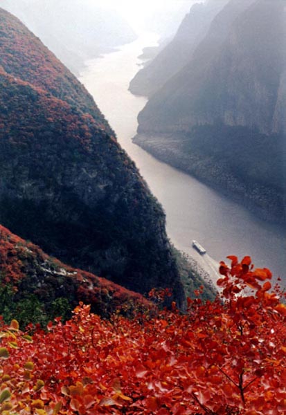 三峡红叶 摄影 西江石壁