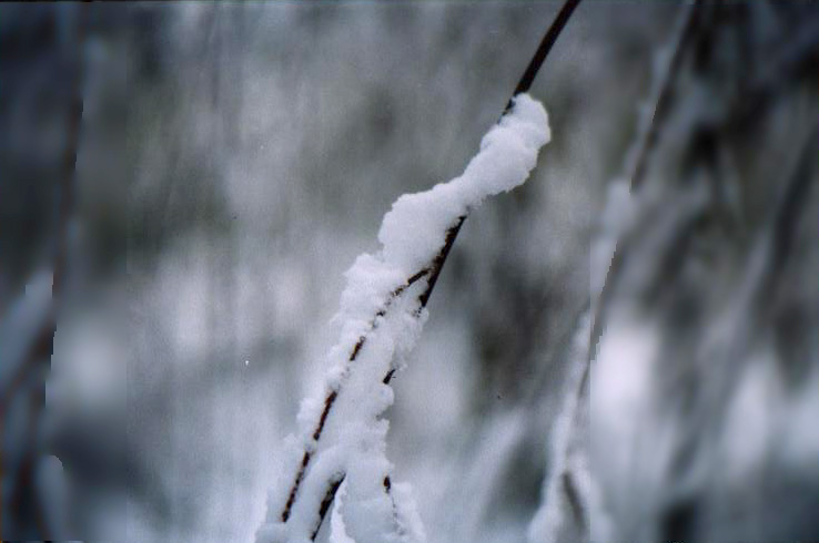 沈阳的第一场雪 摄影 happy2