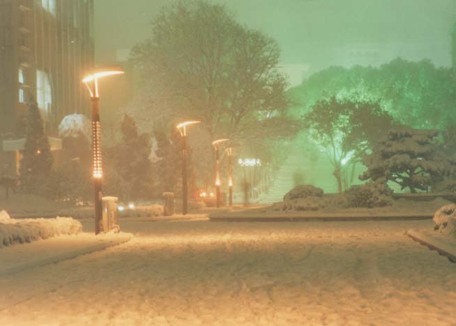 冬夜雪景 摄影 清风社社长