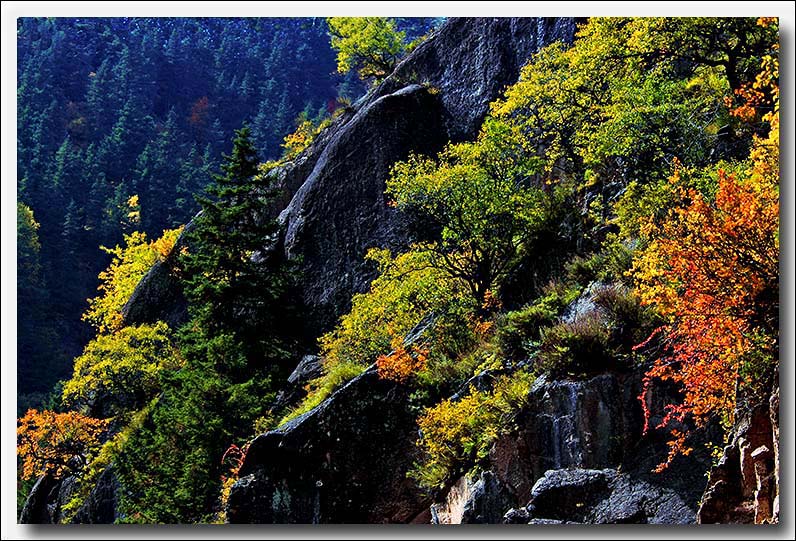 《山西风光——芦芽山秋景》 摄影 龙女