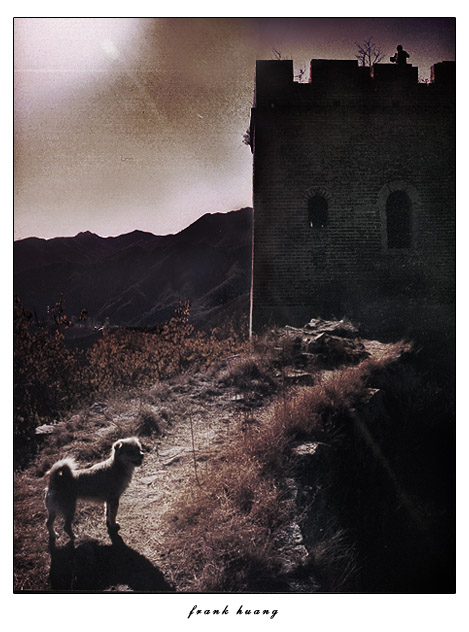 great wall (1) 摄影 cinecamera