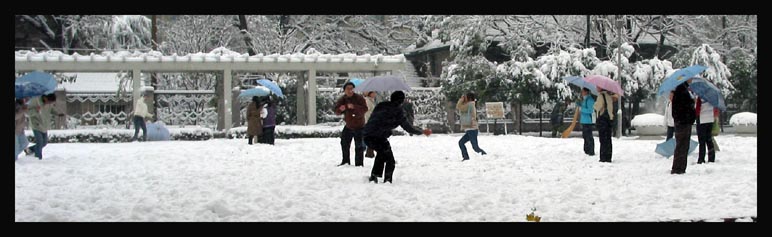 雪 摄影 wangjin