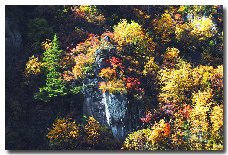 《山西风光——芦芽山秋景》3 摄影 龙女