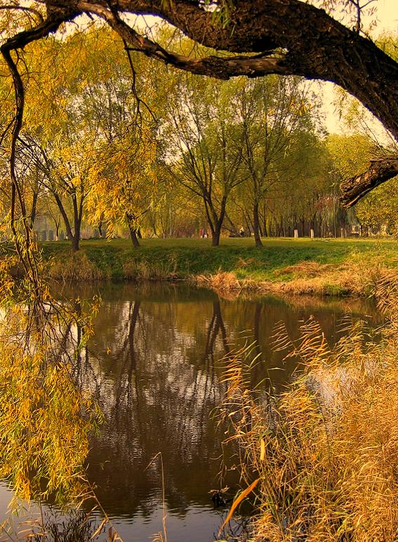 秋天小景 摄影 zhangjian