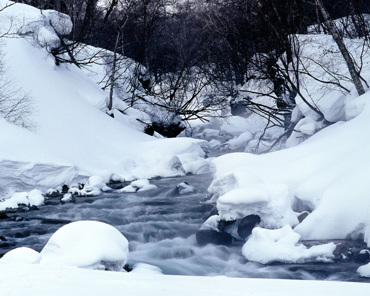 <雪韵> 摄影 亚立