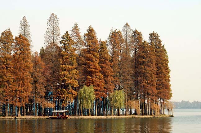 东湖金秋 摄影 九头鸟