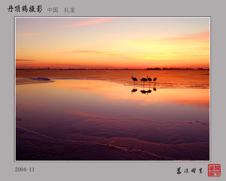 爱恋夕阳 摄影 华溪野夫