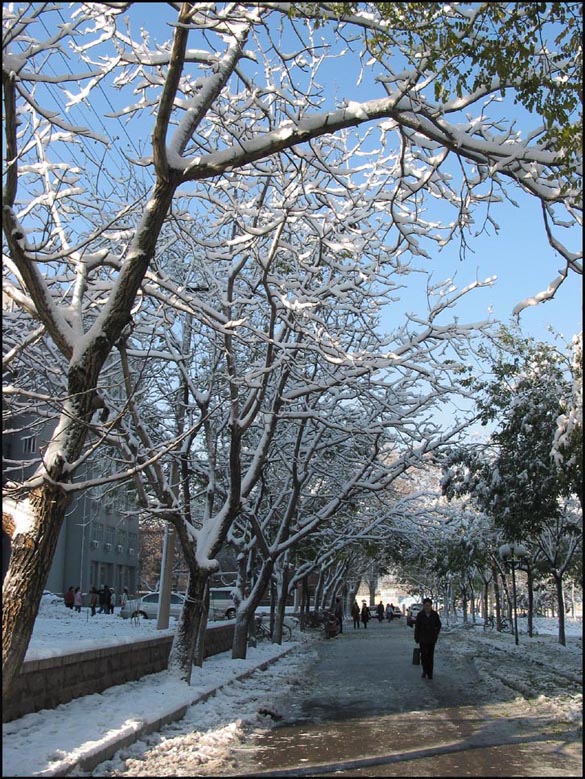 雪霁 摄影 3swt