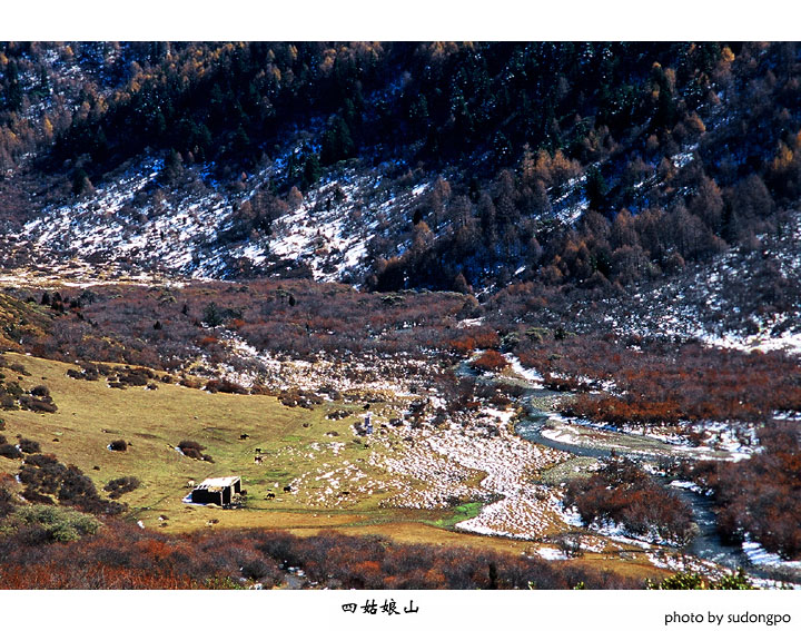 雪域牧场 摄影 苏东坡