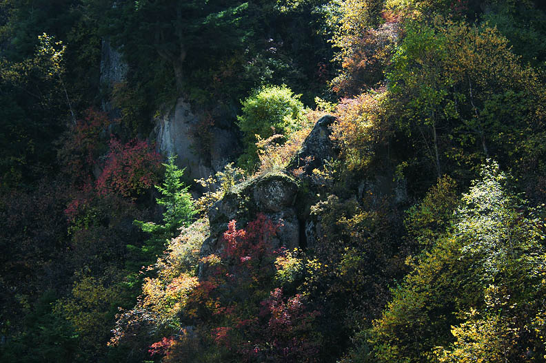 《山西风光——芦芽山秋景》10 摄影 龙女