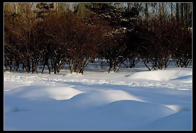 光映雪路 摄影 海人