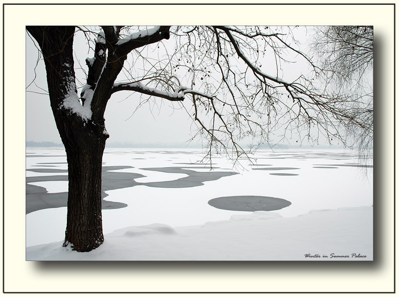 冰雪湖畔 摄影 658515