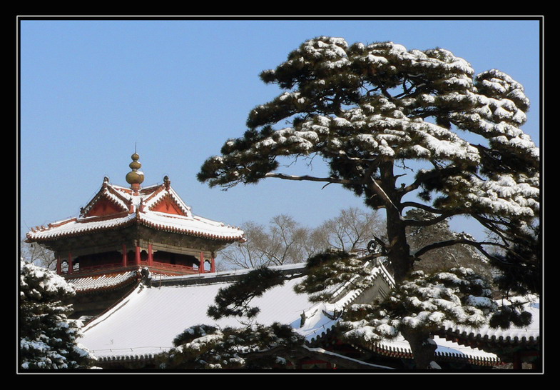 昭陵冬雪-3 摄影 偶有闲情