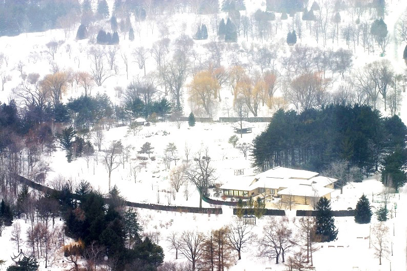 寒雪冬景 摄影 zhaojiayin