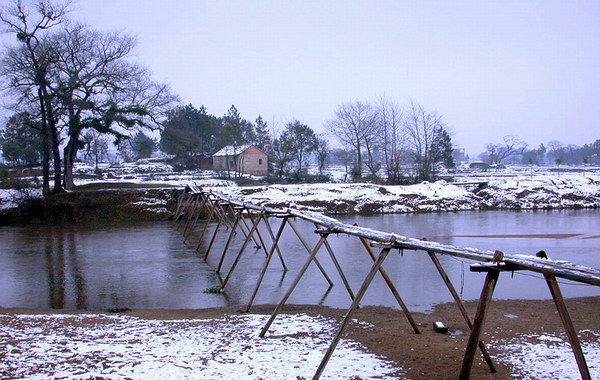 江南初雪小景 摄影 神岗山人