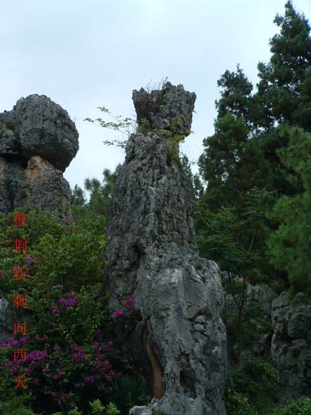 大唐高僧去西天 摄影 tianbing