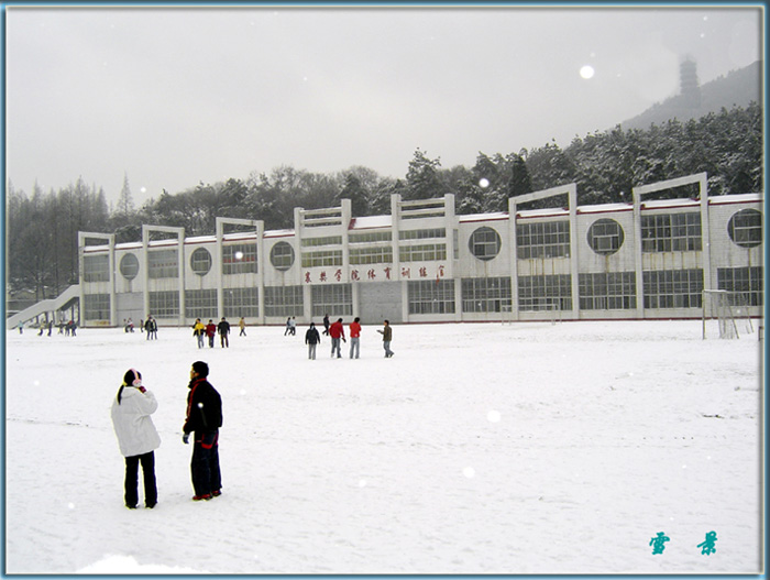 白雪 摄影 杨柳