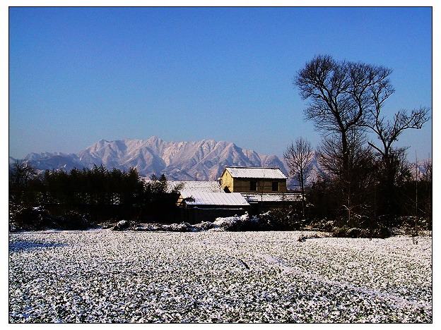 山村雪景 摄影 自然