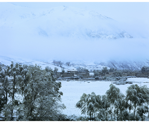 初雪 摄影 脚底板