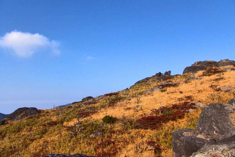 黄岗山.秋 摄影 武夷游子