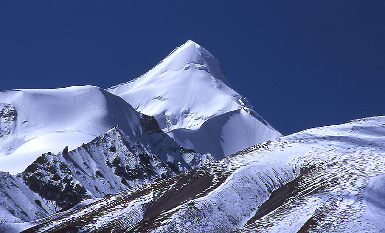 美丽雪世界 摄影 粉兔子