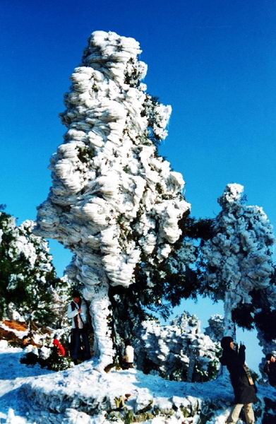 南岳雪淞 摄影 三丰太急